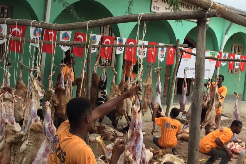 Kurbanlarınızla Afrika'da Bayram Ettiler...